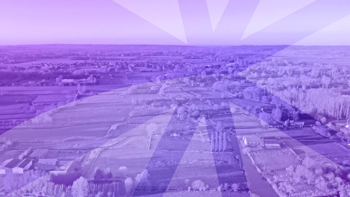 Miniature de la vidéo