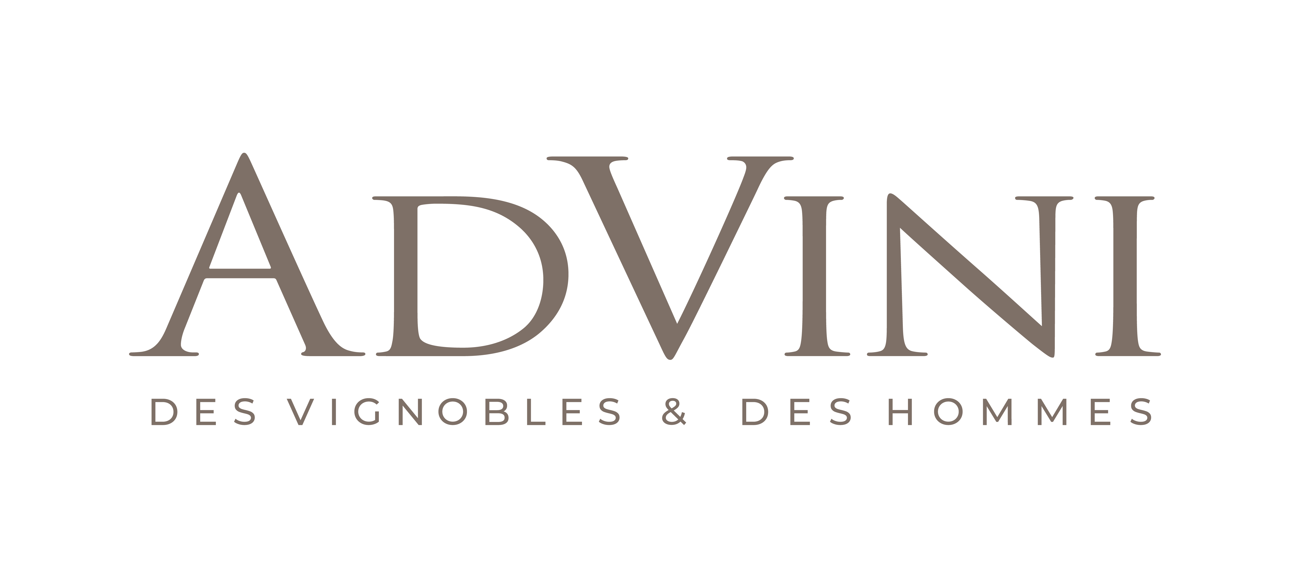 Recrutement AdVini | Découvrez nos offres d'emploi - Page d'accueil