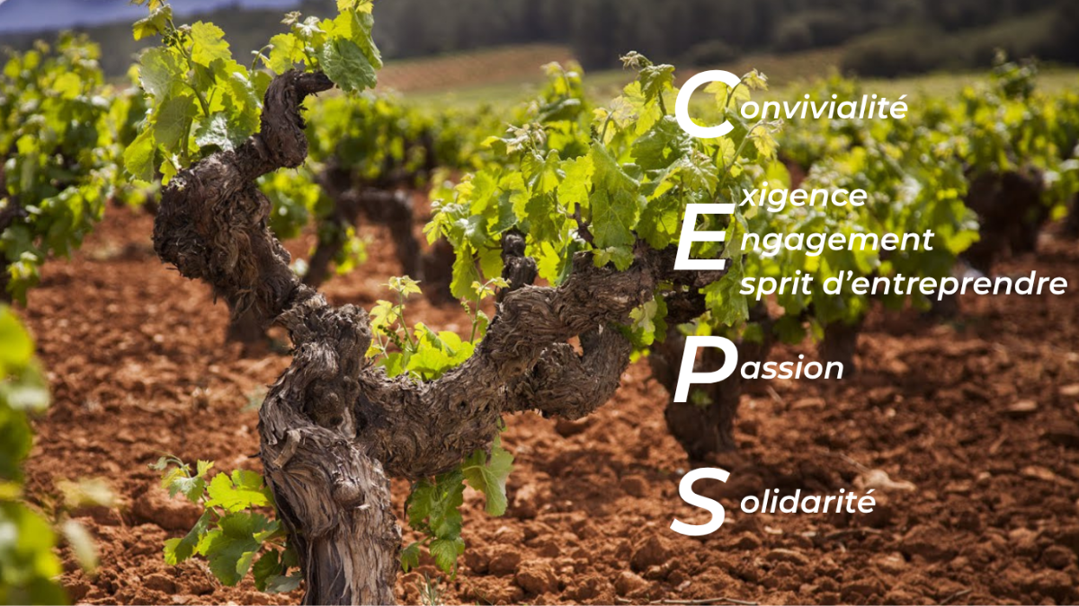 Valeurs d'AdVini - CEPS