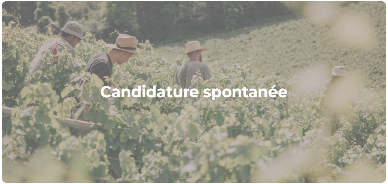 Image 2 candidature - Nous rejoindre