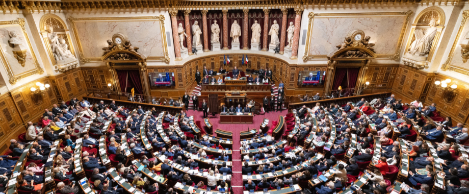 Miniature de la vidéo