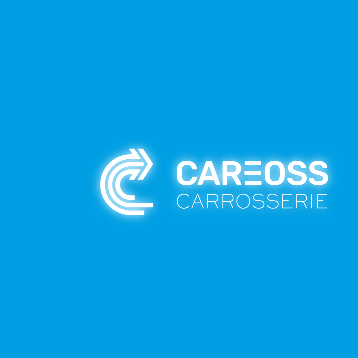 Publication CAREOSS  (7)