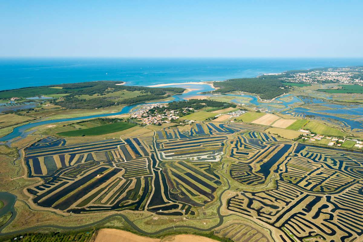Talmont-Saint-Hilaire_marais-aerien-4-credit-Joncheray-Valery(2)