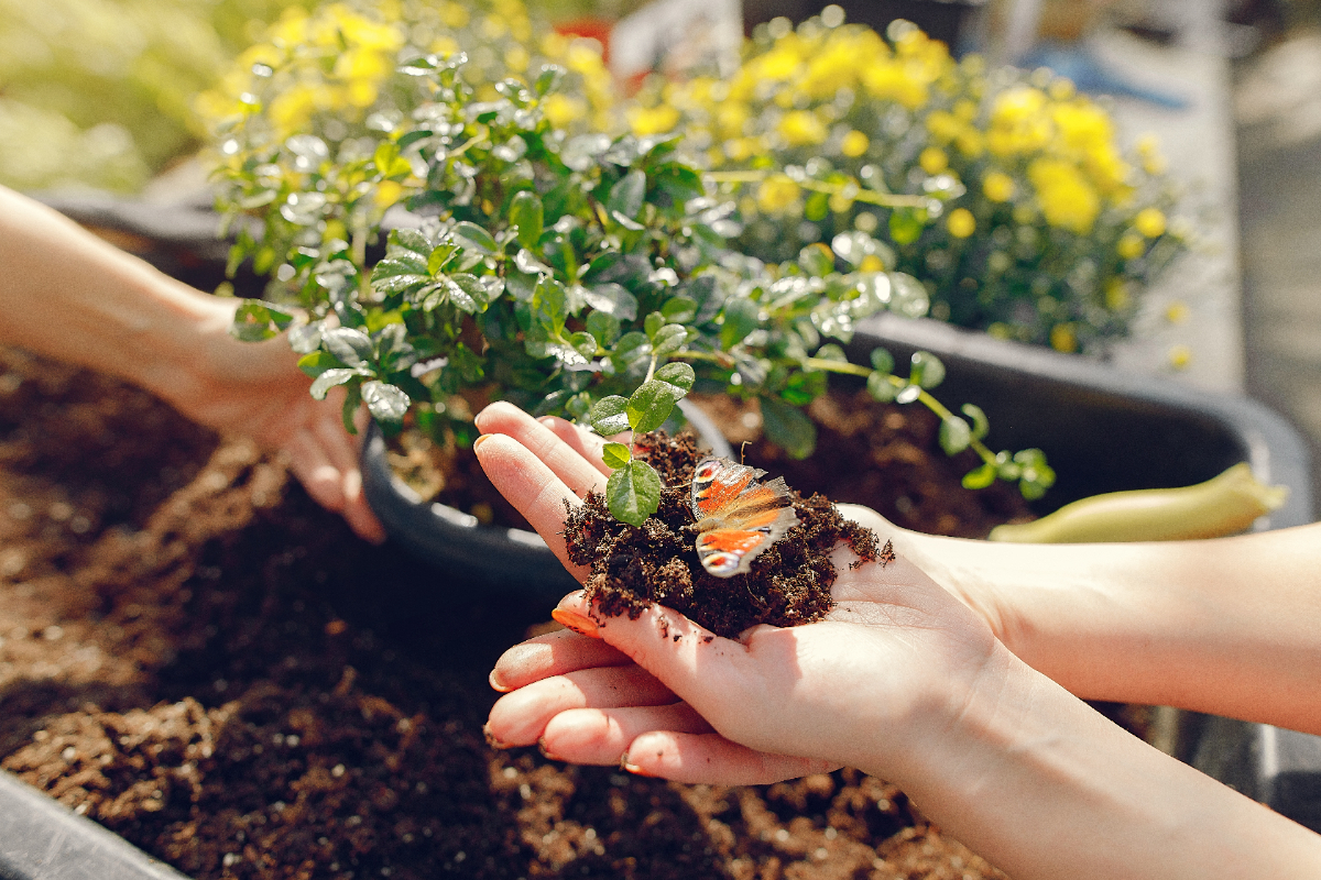 femmes-travaillant-dans-une-serre-avec-des-pots-de-fleurs